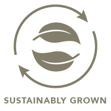 Steven Smith Teamakers Sustainably Grown