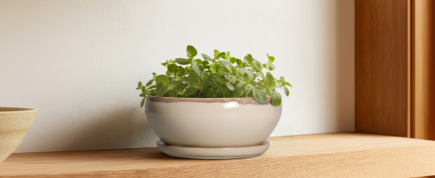6 inch planter
