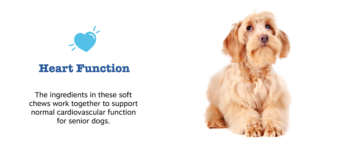 heart function
