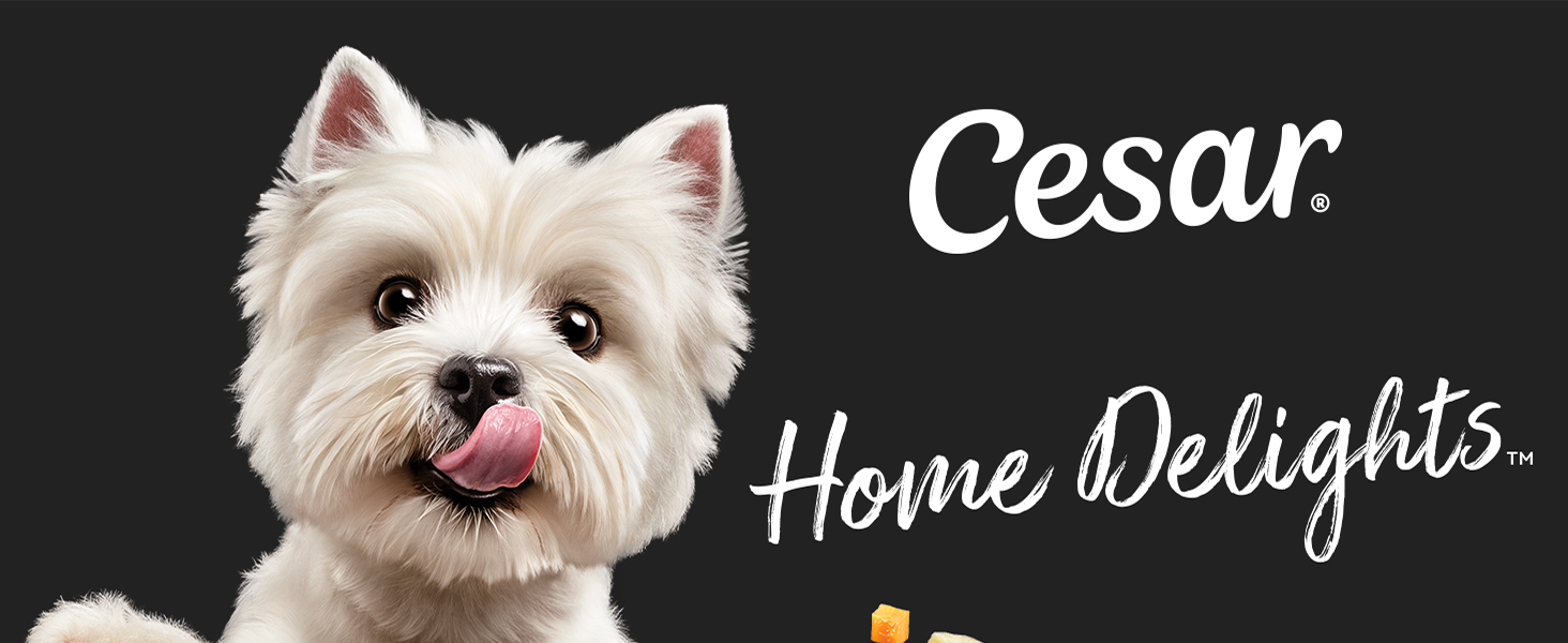cesar