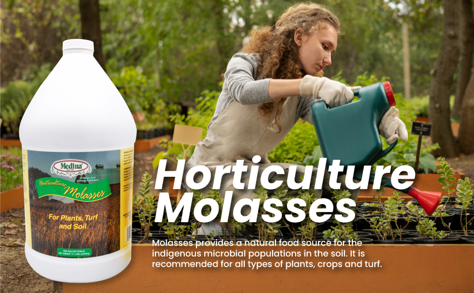 horticulture molasses