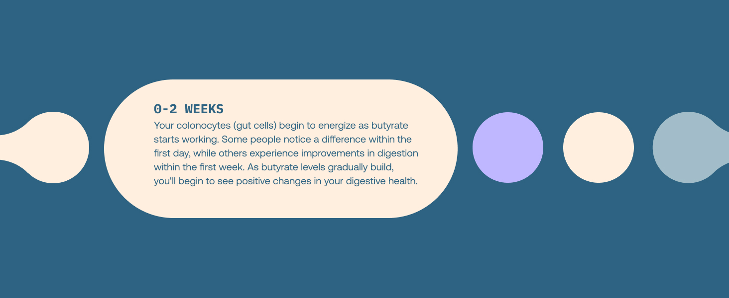 Butyrate, gut health, microbiome support, Digestion, bloating, gassy, probiotics, prebiotics