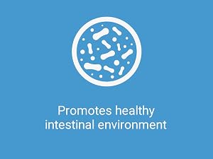stomach, microbiota, microorganisms, whole, gastro, immun
