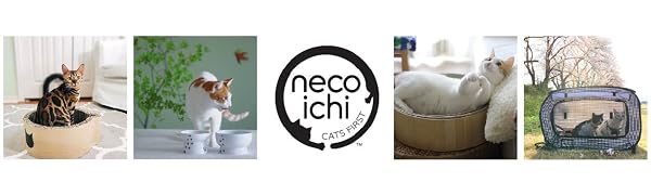 necoichi cats first cat kitty japan raised food bowl water bowl scratcher