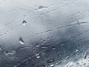 reduced moisture