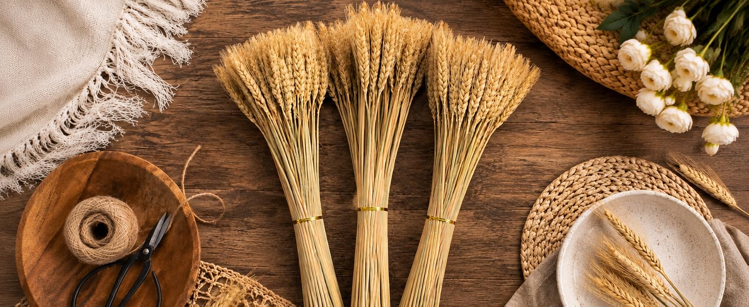 Yarlung 300 Stems Dried Wheat Stalks, 16 Inch Natural Wheat Sheaves Fall Arrangement Home Decor