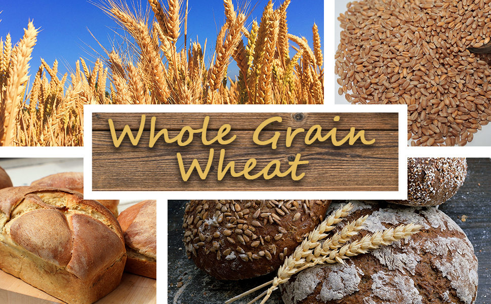 raw wheat in a field, wheat kernels, and wheat bread with text, "Whole Grain Wheat."