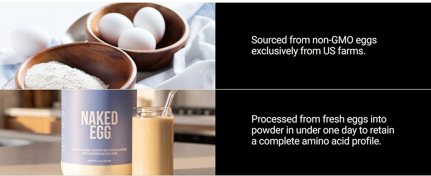 egg protein powder supplement