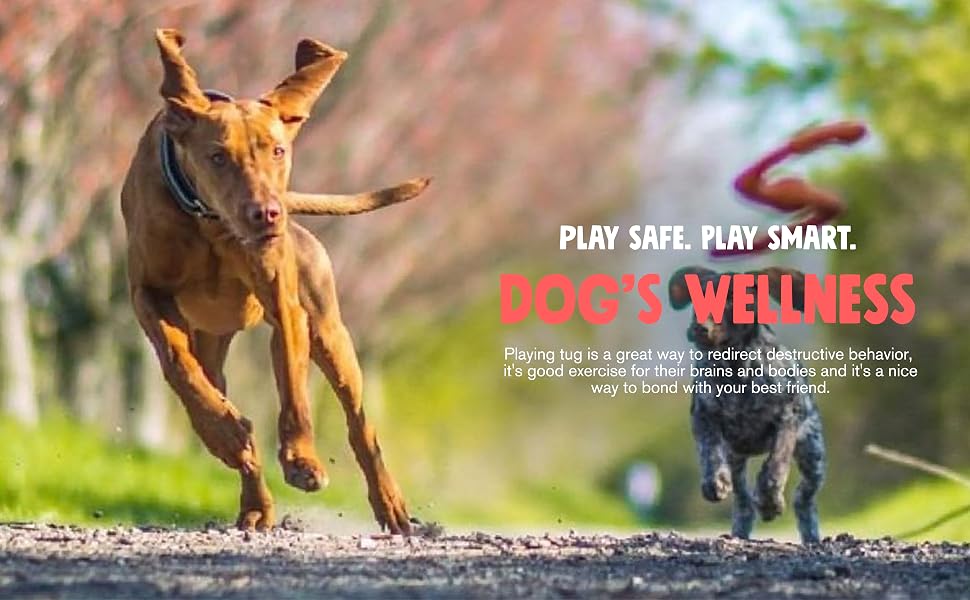Bumi Dog's Wellness