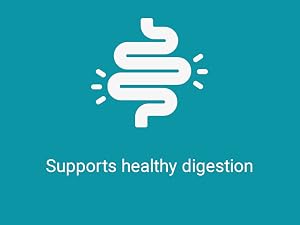 stomach, microbiota, microorganisms, whole, gastro, immun