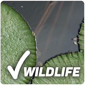 safe for wildlife
