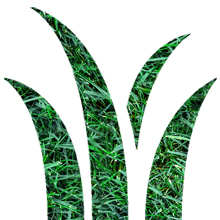 faded or dormant grass icon