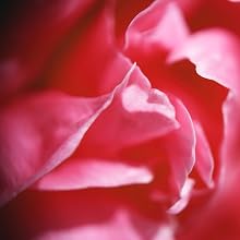 NOTES of rose and jasmine are pure floral richness with a drizzle of honey.