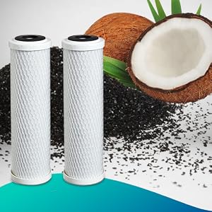 Coconut Shell Activated Carbon