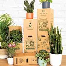 Sustainble Packaging Plant Shipper