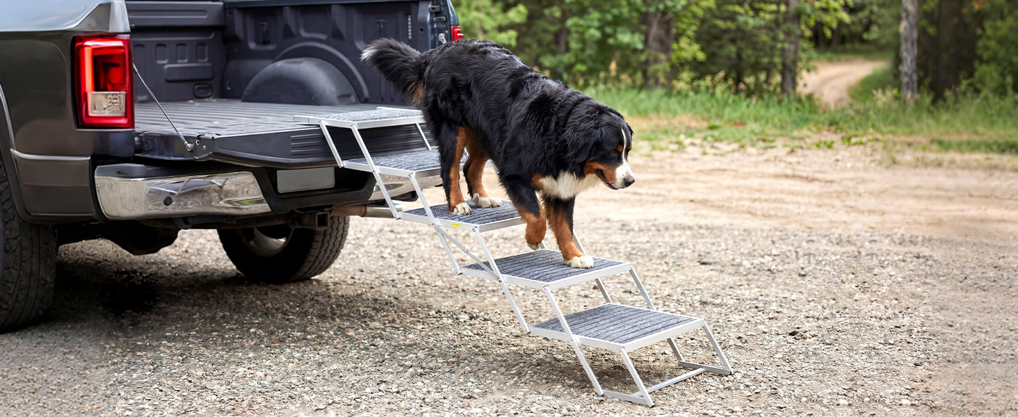 dog steps for large dogs