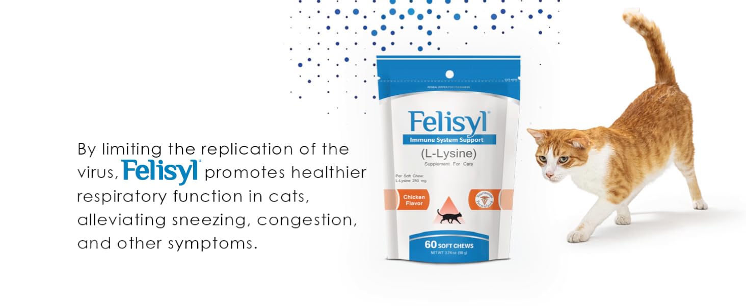 Felisyl supports cats’ respiratory health by reducing virus replication and easing related symptoms.