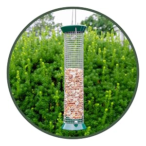lyric, bird seed, bird food, lyric bird seed, wild bird seed, woodpecker food, woodpecker feeder
