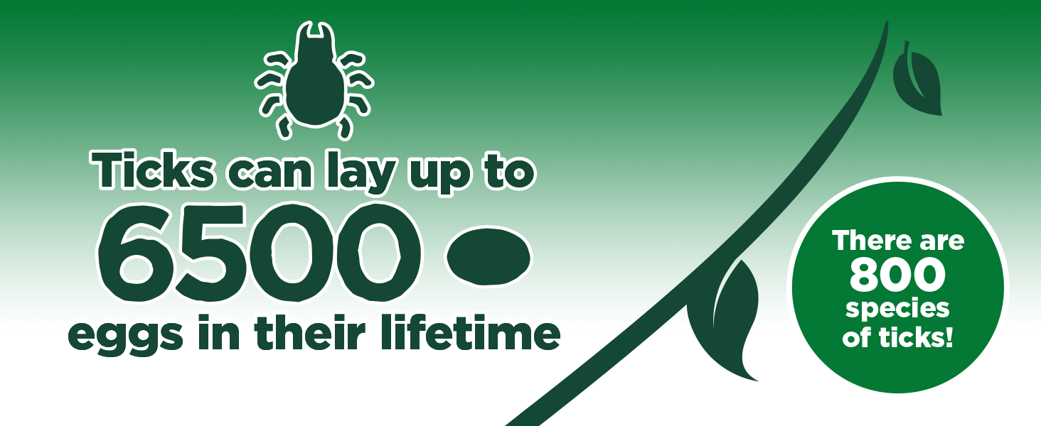 There are 800 Species of ticks!