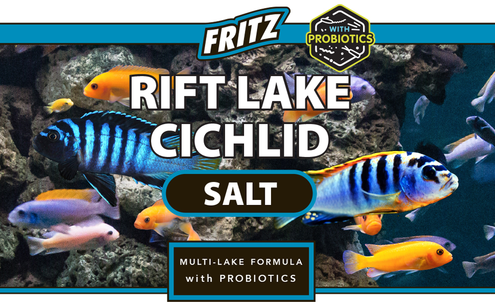 fritz, cichlid, salt, african