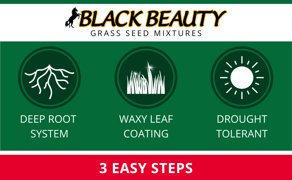 jonathan green black beauty sunny grass seed lawn yard