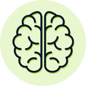Brain