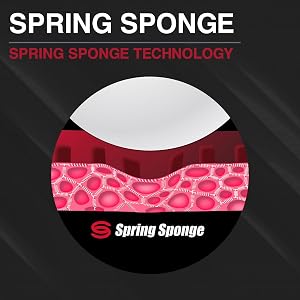 Spring Sponge