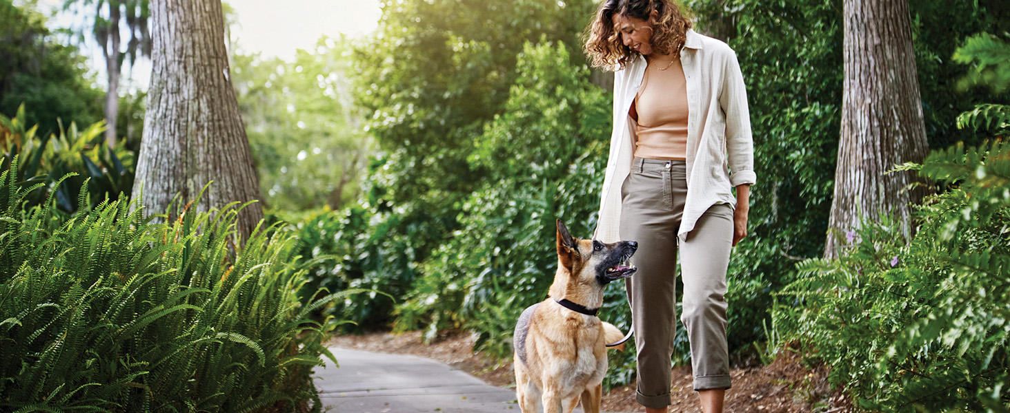 pro plan vet diets forti flora dog with owner