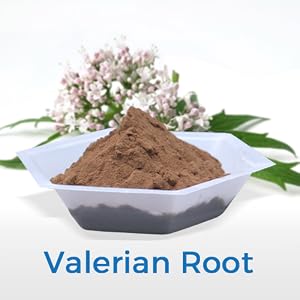 Valerian Root