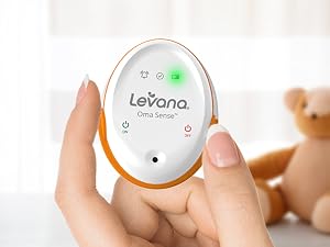 Power On button and wait until the startup sound is heard and the green battery light flashes green.