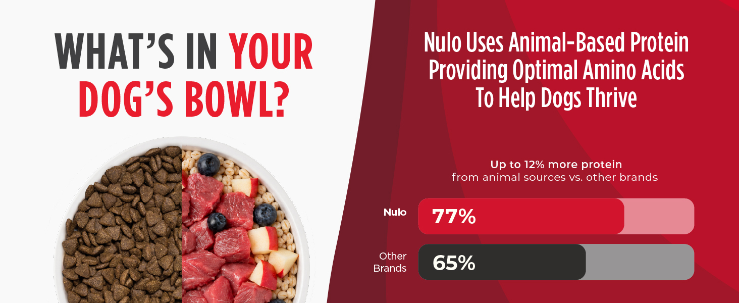 Image of meat and dog food with text reading whats in your dogs bowl.