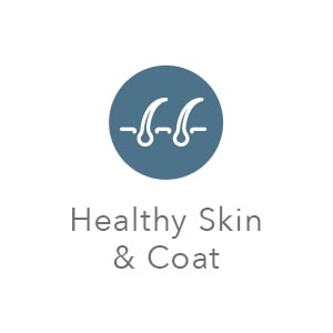 Natural cat food;Dry cat food;Cat food;High protein cat food;Grain free cat food;Adult cat food