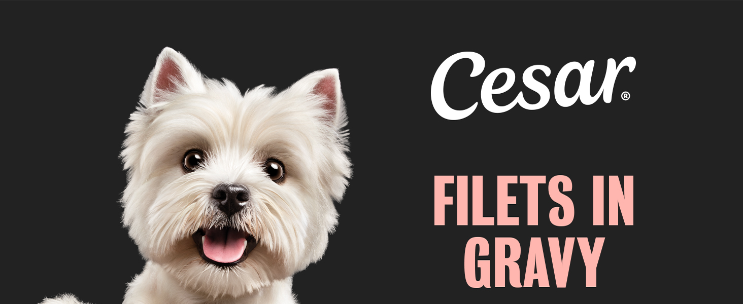cesar