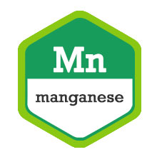 Mn
