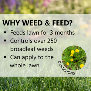 jonathan green green-up lawn food grass care maintenance