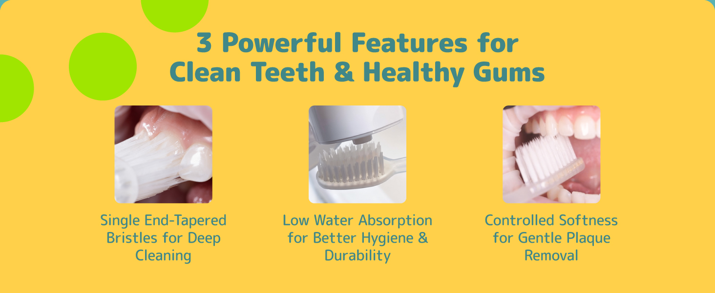 tooth brush for deep cleaning with low water absorption and controlled softness