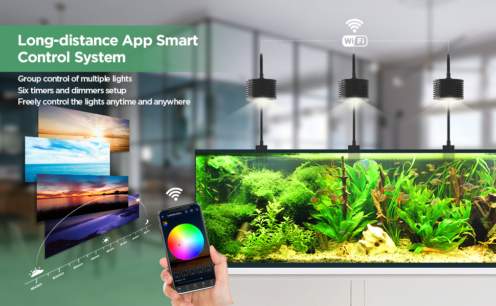 aquarium light with timer