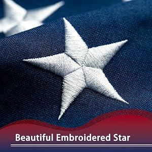 Densely Embroidered Stars