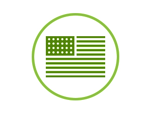 USA icon