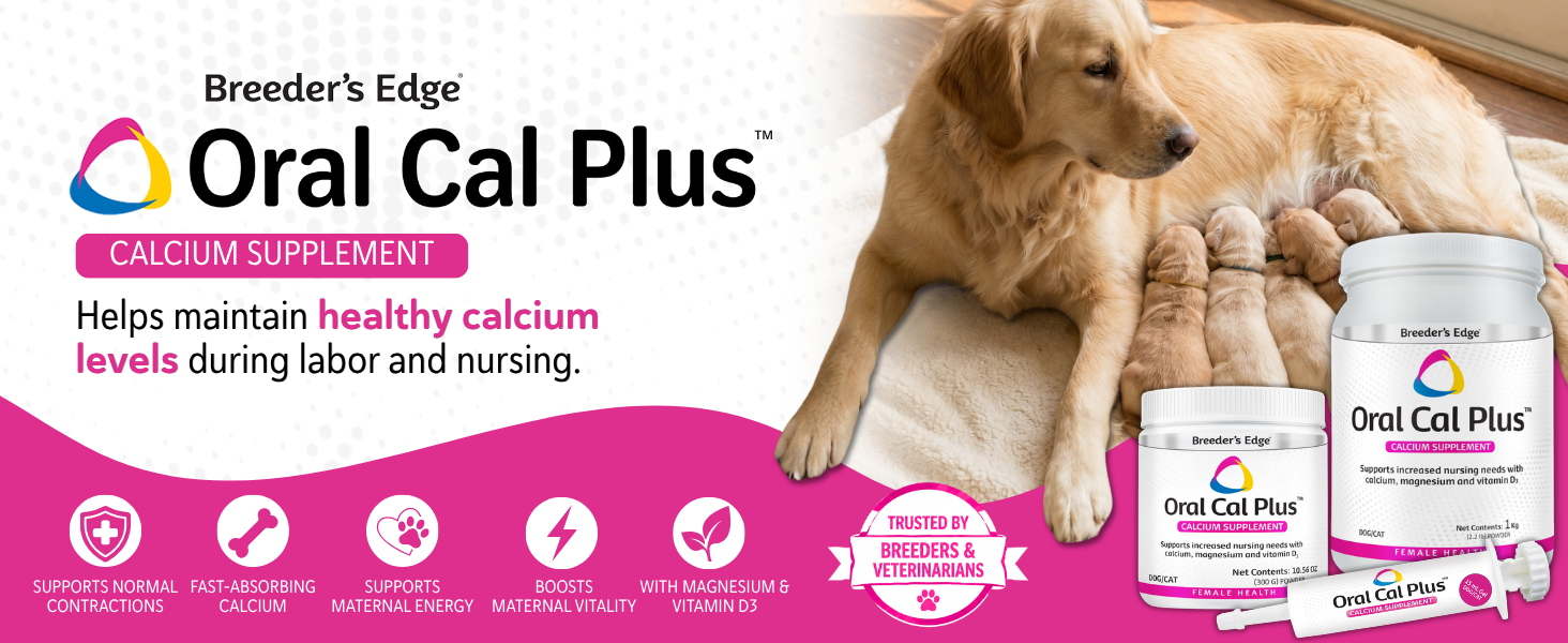 Oral Cal Plus calcium supplement with dog and puppies nursing during whelping