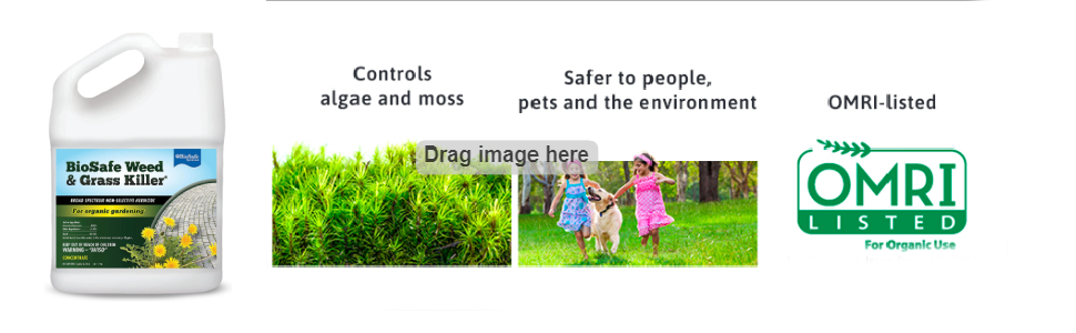 weed and grass control 1