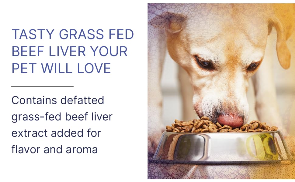gut health dog vitamins and supplements dog supplements &amp; vitamins dog probiotic
