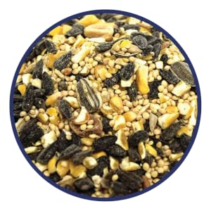 lyric, bird seed, bird food, lyric bird seed, wild bird seed, wild bird mix, sunflower seed