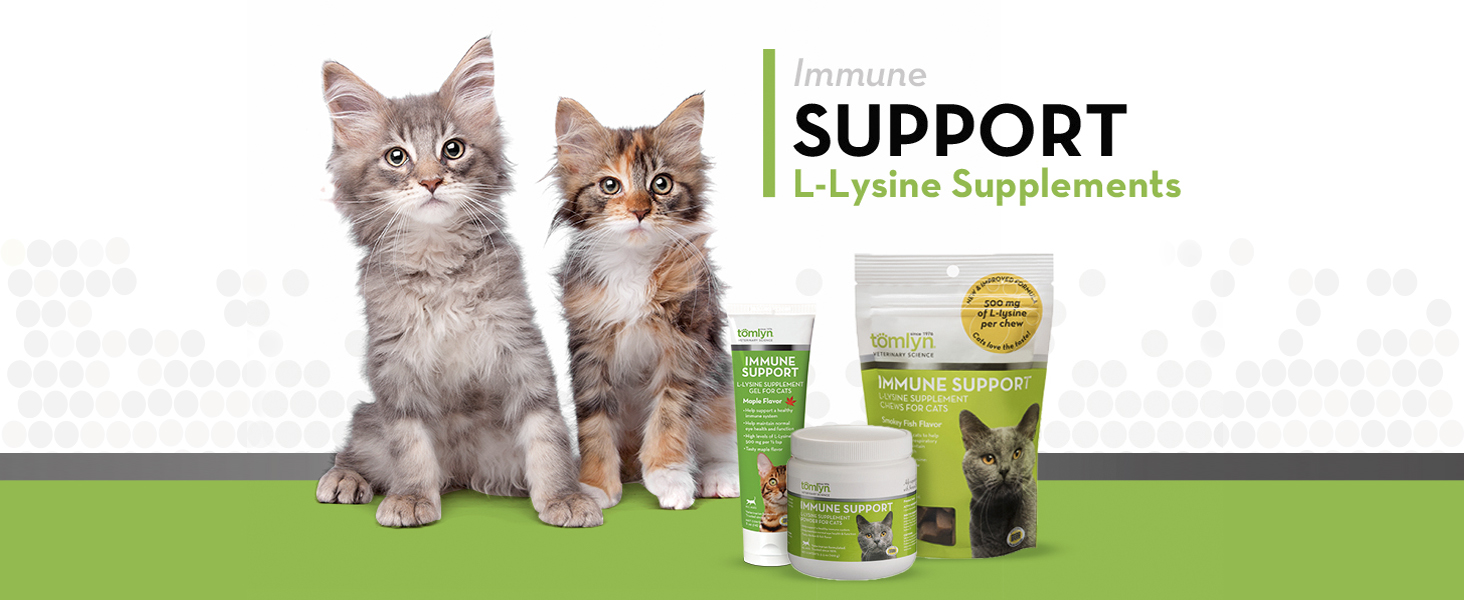 L-Lysine Header