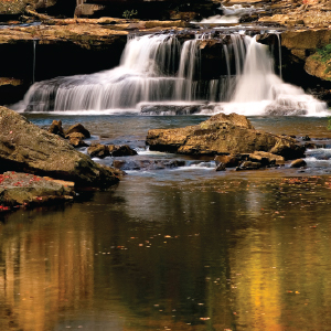 Waterfall, water garden, pond