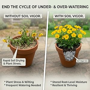 Cross-section of Soil Vigor&amp;#39;s clear gel chunks holding water directly at the plant&amp;#39;s roots.