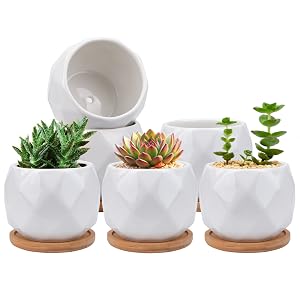 planter