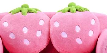 2 Strawberry Pillows