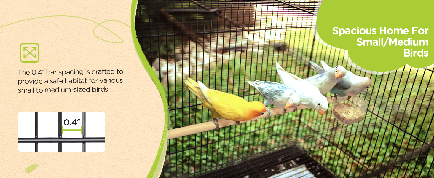 bird cage