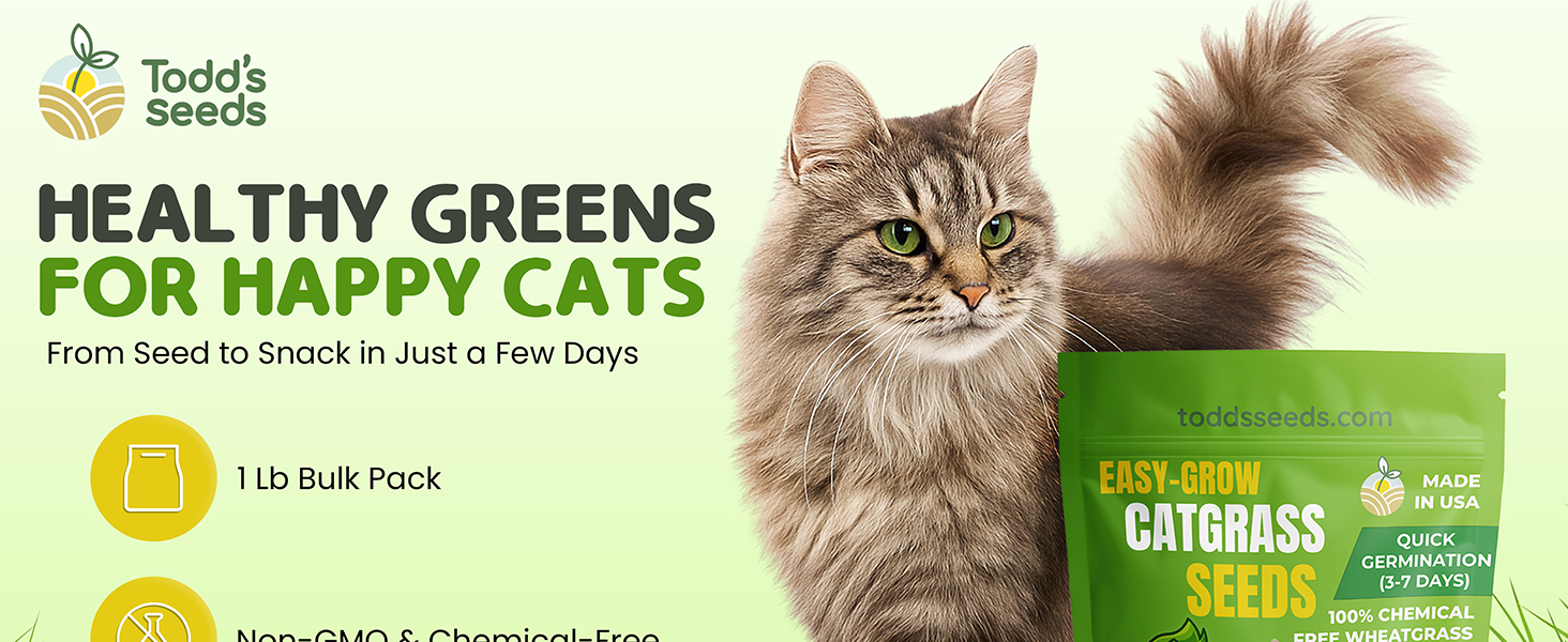 Todd&amp;#39;s Cat Grass Seeds 100% Chemical-Free Wheatgrass, Easy Grow, 15K Seeds/lb, Pet Safe